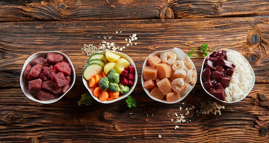 hibarf-dieta-barf-medellin