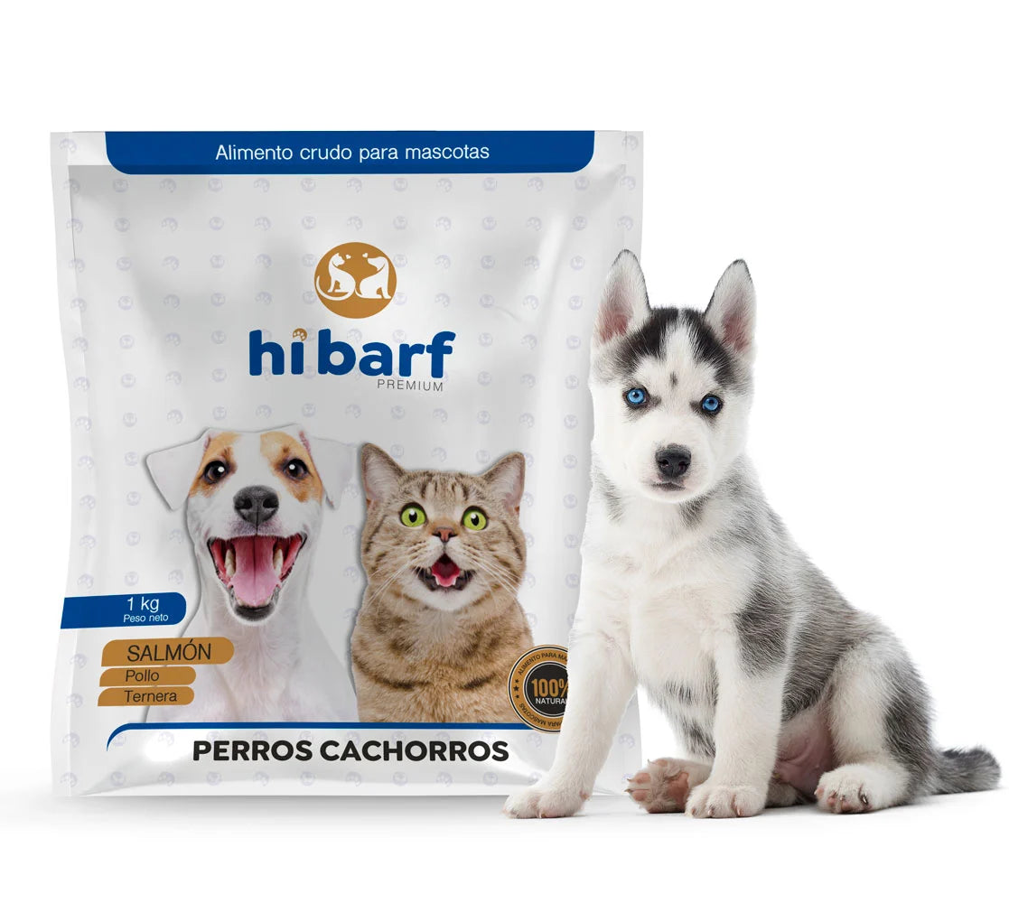 Dieta para perros cachorros