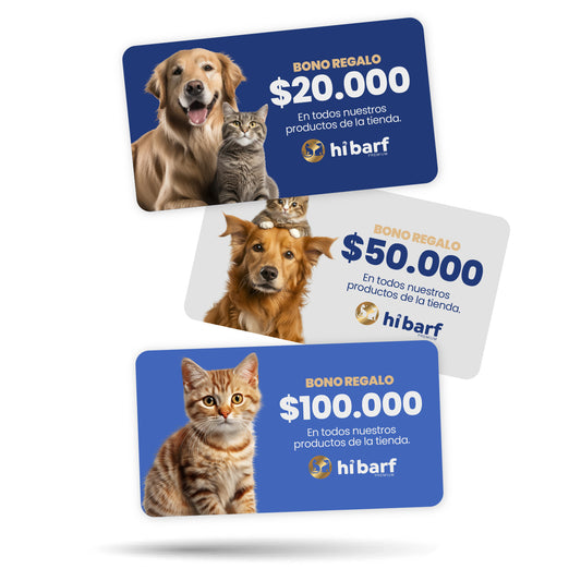 Bono regalo Hibarf
