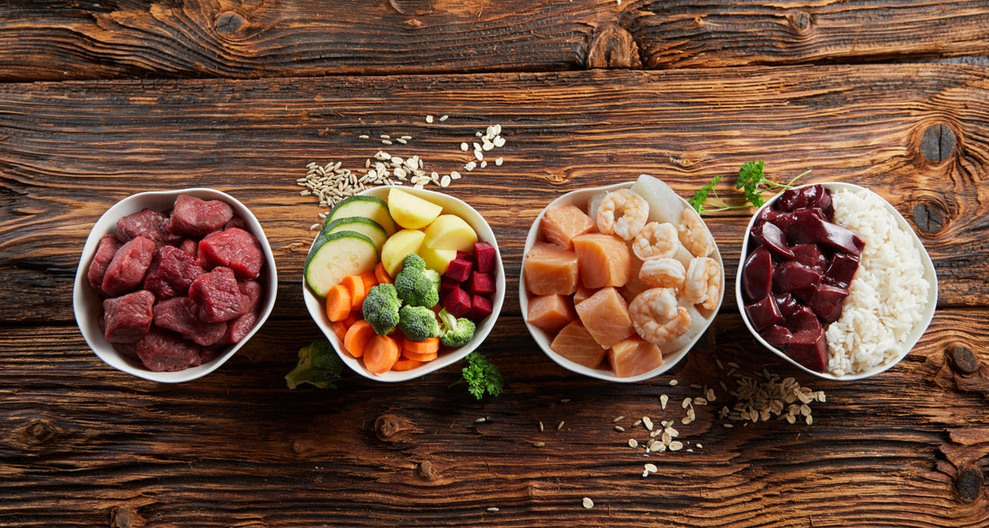 hibarf-dieta-barf-medellin