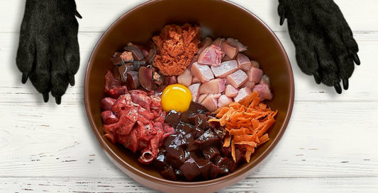 Asesoría nutricional canina | Plan ideal para tu perro