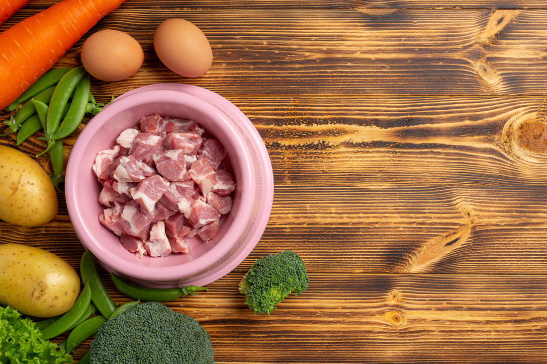 Dieta barf medellín