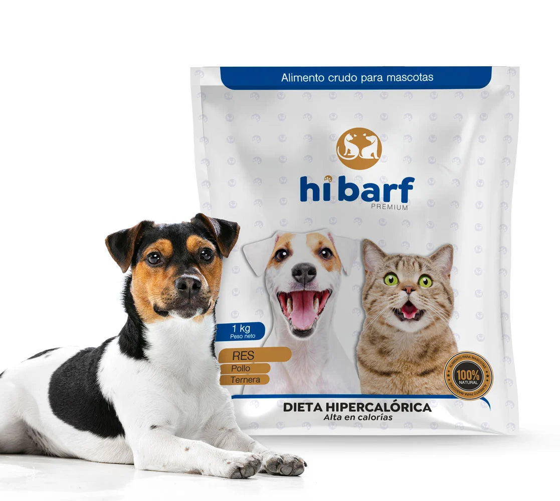 Dieta perros hipercalórica (alta en calorías)